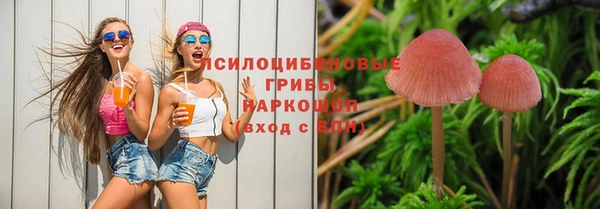 спайс Абдулино