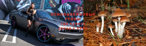 прущий лед Абинск