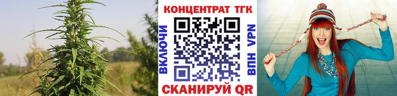 купить наркотик  Елизаветинская  kraken ссылки  ТГК жижа 