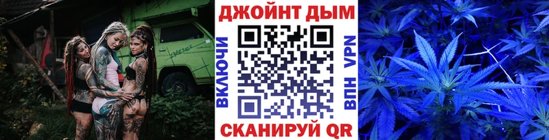 Шишки марихуана индика  Елизаветинская 